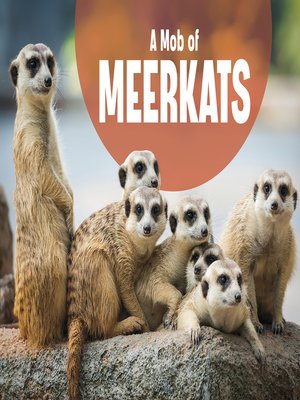 cover image of A Mob of Meerkats